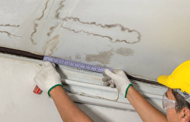Reliable Sewage Cleanup contractor in Broadway, VA by Water Damage Irwin